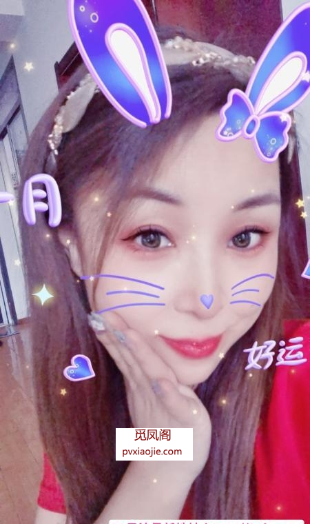 北辰小燕子