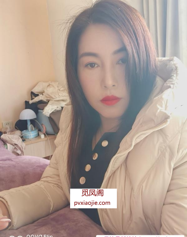 江宁淑女夜猫