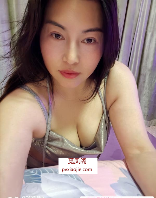 江宁淑女夜猫
