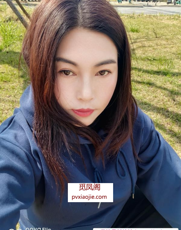 江宁淑女夜猫