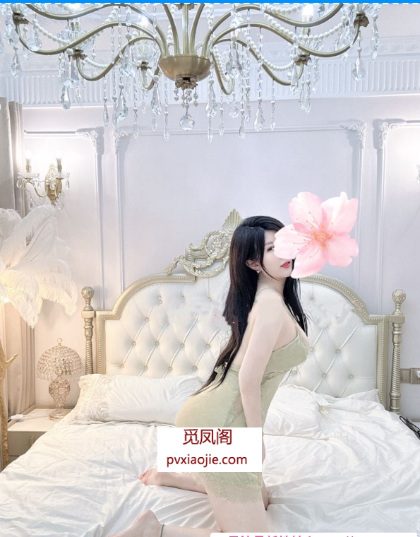 李沧区小美狐