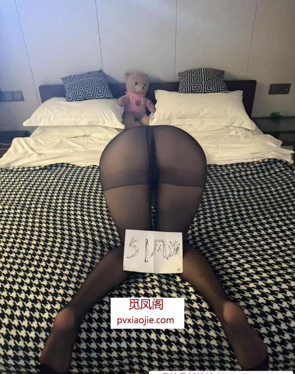 南开小懒猪