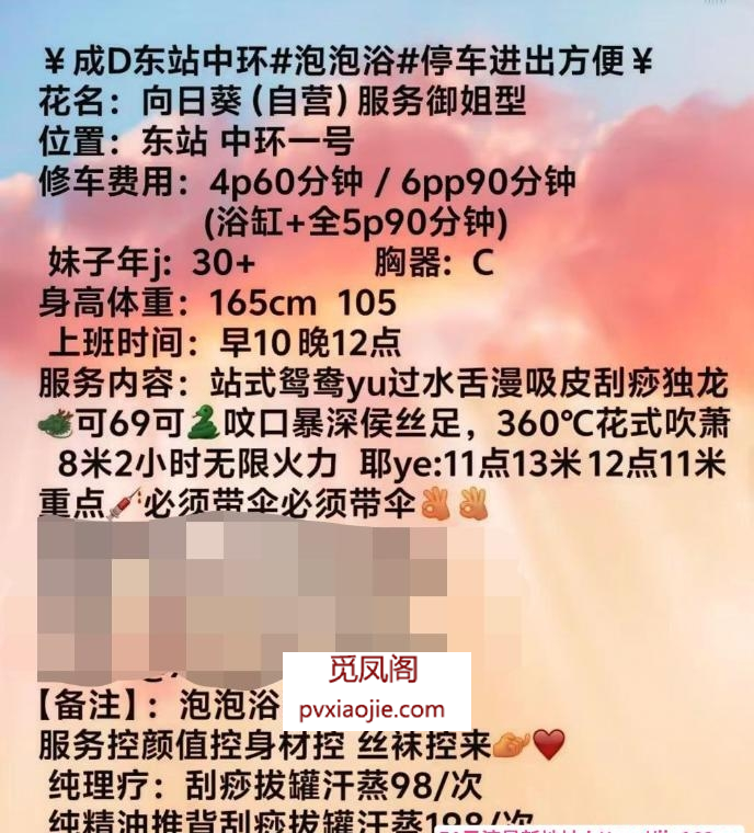 淫妇向日葵