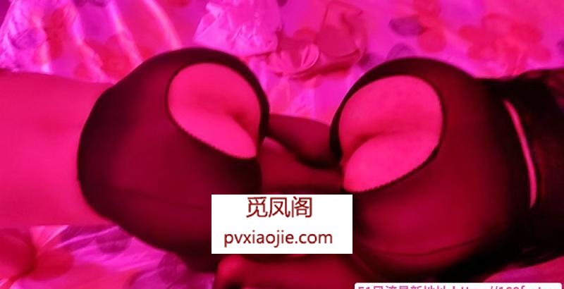 河北双飞爽记